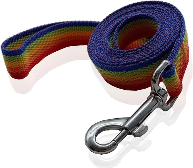 Nylon Dog Leash 12 Feet Long, Walking Training Dog Leashes for Medium Large Dogs(1" X 12 ft, Rainbow)