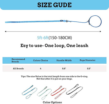 EVERKING Dog Slip Lead Dog Training Leash, No-Pull Slip Leash and Collar,Nylon Material Heavy-Duty and Durable,with Comfortable Padded Handle,Suitable for All Dogs (Blue(4.9-5.9FT-Metal Buckle))