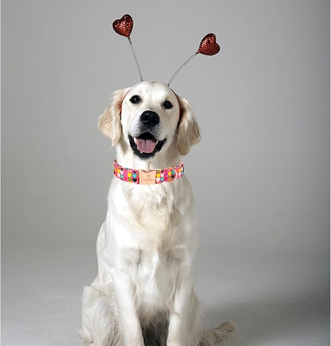 Lionheart glory Valentine Collar, Hearts Dog Collar for Small Cute Dog Collars Spring Female Pet Gift Adjustable Heavy-Duty Dog Collar Holiday