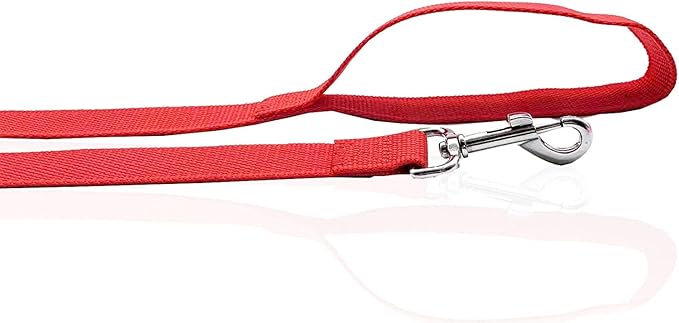 Nylon Dog Leash 8 Feet Long, Walking Training Dog Leashes for Medium Large Dogs(1" X 8 ft, Red)