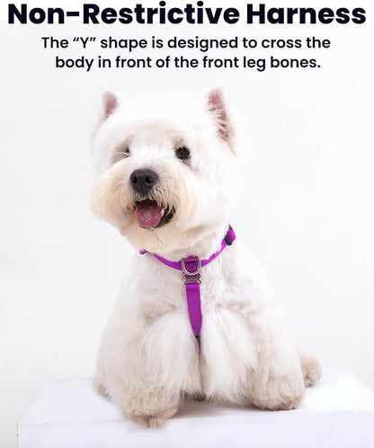 Non Restrictive No Pull Dog Harness, Neck Buckle Desgin, Lightweight Easy Walk Freedom Harness, Keep Balance, Sewn-in Instructions Labels for Easy Use, Small Dogs Chest(17-23inches) Purple