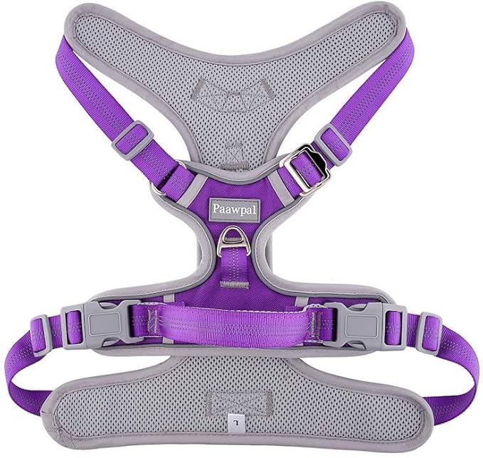 Paawpal Adjustable Dog Harness - No Pull, Reflective, Soft Padded for Small, Medium, Large Dogs - Includes Leash Purple XL