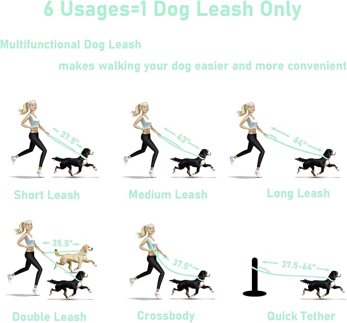 ZALER Dog Collar and Leash Set, Waterproof Adjustable Odor Proof Pet Collars Leashes Easy to Clean, 6FT Dog Leash with 2 Hooks for Large, Medium Small Dogs (XL, Mint Green)