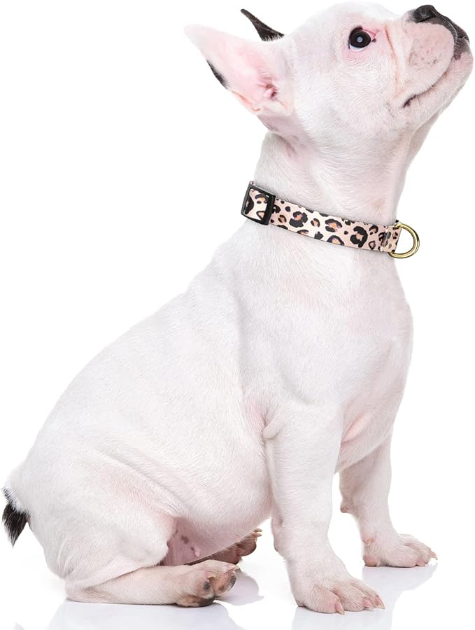 Rnivvi Dog Collar for Small Dogs, Cute Leopard Heavy Duty Adjustable Puppy Collar with Quick Release Buckle for Boy Girl & Female, Pet Accessories for Walking Running, XS Length 5/8" Width, Pink