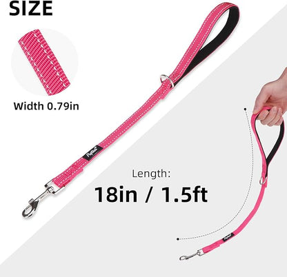 PUPTECK Reflective Dog Leash with Comfortable Padded Handle Durable Nylon Dog Lead for Small Medium and Large Dogs Cats Walking Running Training Outside, Hot Pink