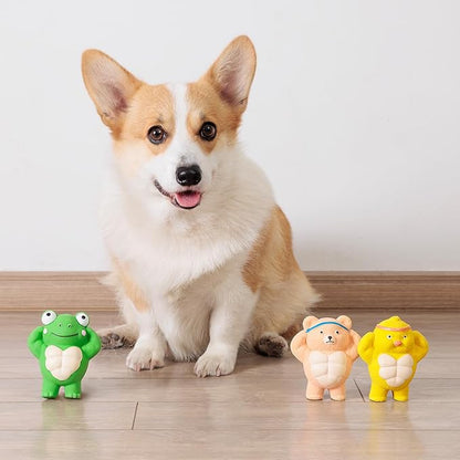 Pawdoer 3 Pack Squeaky Dog Toys for Medium Dogs, Soft Latex Chicken Squeaky Dog Ball, Cute Funny Squeak Different Animals Frog Bear Chicken Pet Toys