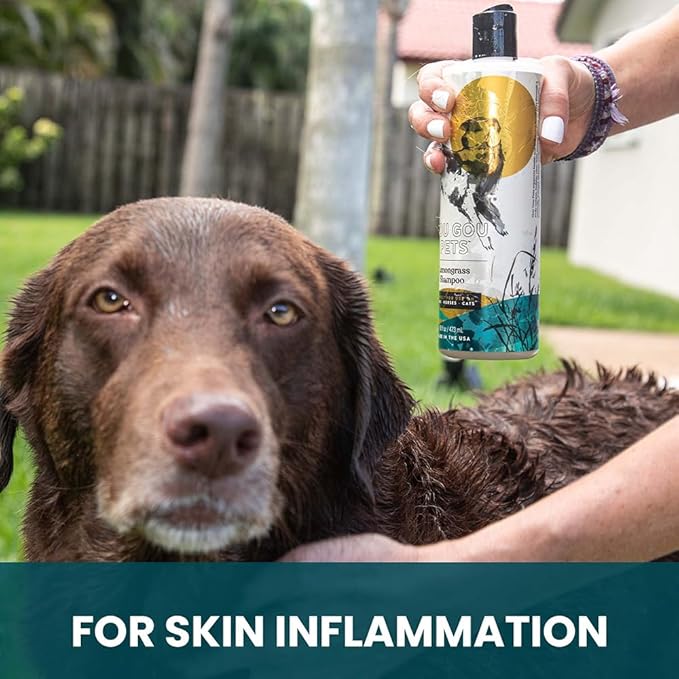 Gou Gou Pets Holistic, Natural and Clean Pet Care Lemongrass Shampoo: Veterinarian Recommended - Hydrate Your Pet’s Coat With Our Hypoallergenic Shampoo For Dogs, Cats and Horses - Made in USA - 16 oz