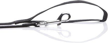 Nylon Dog Leash 4 Ft 5 Feet 6 Foot Long, Walking Training Dog Leashes for Medium Large Dogs, 1 Inch Wide(5ft, Black)