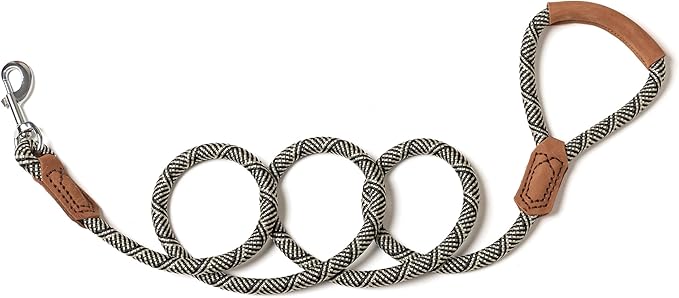 Mile High Life | Premium Leather Handle Dog Leash | Strong Rope Leash | Zinc Alloy Strong Clasp | Small Medium Large Dogs | 4/5/6 Feet(White, 72 Inch (Pack of 1))