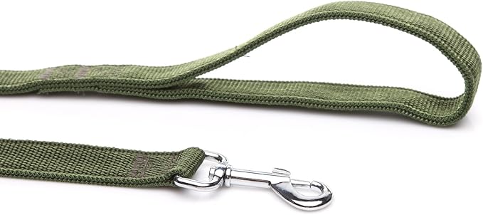 Strong Nylon Dog Leash 2-Layer, 4 FT to 7FT Long, 1 Inch Wide for Medium & Large Dogs (Green, 1" x 2 FT)