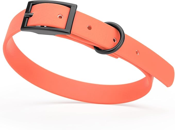 Dogline Biothane Waterproof Dog Collar Strong Coated Nylon Webbing with Black Hardware Odor- Proof for Easy Care Easy to Clean High Performance Fits Small Medium or Large Dogs, Coral