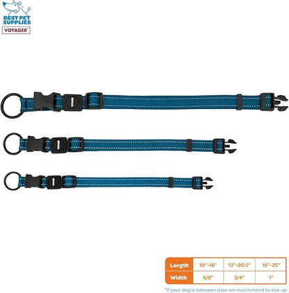 Best Pet Supplies Voyager Reflective Dog Leash or Collar with Neoprene Handle, for Small, Medium, and Large Breed Puppies, Cute and Heavy Duty for Walking, Running and Training - Blue, L