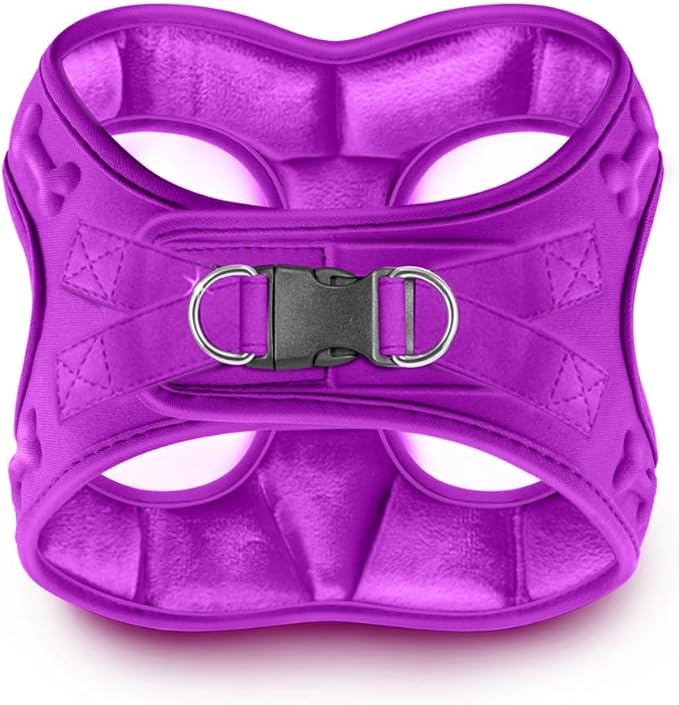 Comfort Fit Dog Harness Step in No Pull Harness for Small Medium Sized Dogs Soft Padded No Escape Harness Adjustable Easy Buckle Leash Attachment D-Ring Extra Comfort Inside Velvet Plush XS Purple