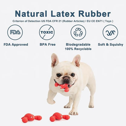 Pawdoer Squeaky Dog Toys, Soft Latex Rubber Squeaky Ball for Small Dogs Puppies, Cute Bounce Squeak Lobster Pet Dog Toy