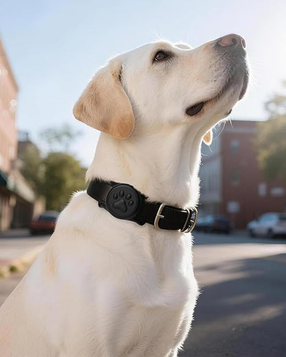 WhoseID IP68 Waterpoof Dog Air tag Holder, Stretchy Silicone Full Body Covered Apple Air Tag Holder for Dog Cat Collar Fit All Width Collar (Black1, 1 Pack)