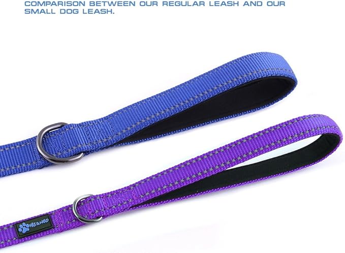 Max and Neo Small Dog Leash - Reflective Nylon, Donates to Dog Rescue (Purple, 4x5/8)