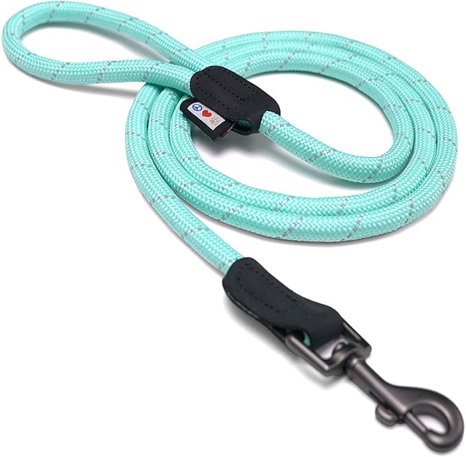 Pawtitas Teal Rope Dog Leash, X-Small/Small, 6 ft., Blue