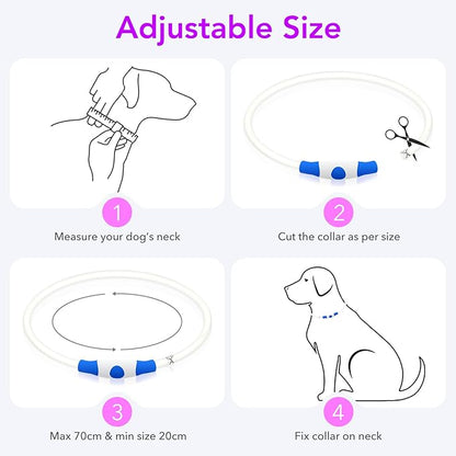 Colaseeme LED Dog Collar Light Up Dog Collars 1 Count USB Rechargeable TPU Glow Safety Basic Dog Collars for Large Medium Small Dogs (Purple)