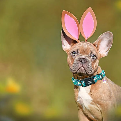 Elegant little tail Easter Dog Collar, Cute Rabbit Pattern Pet Collar Durable Holiday Girl or Boy Adjustable Cotton Pet Collar with Quick Release Buckle for Medium Dogs