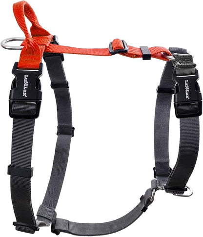 Non-Restrictive Dog Harness, Easy Walk Freedom No Pull Harness, Keep Balance, Neck-Buckle, Six Points Adjustment, 2 Leash Clips for Back and Front Clip (Orange/Black, Small)