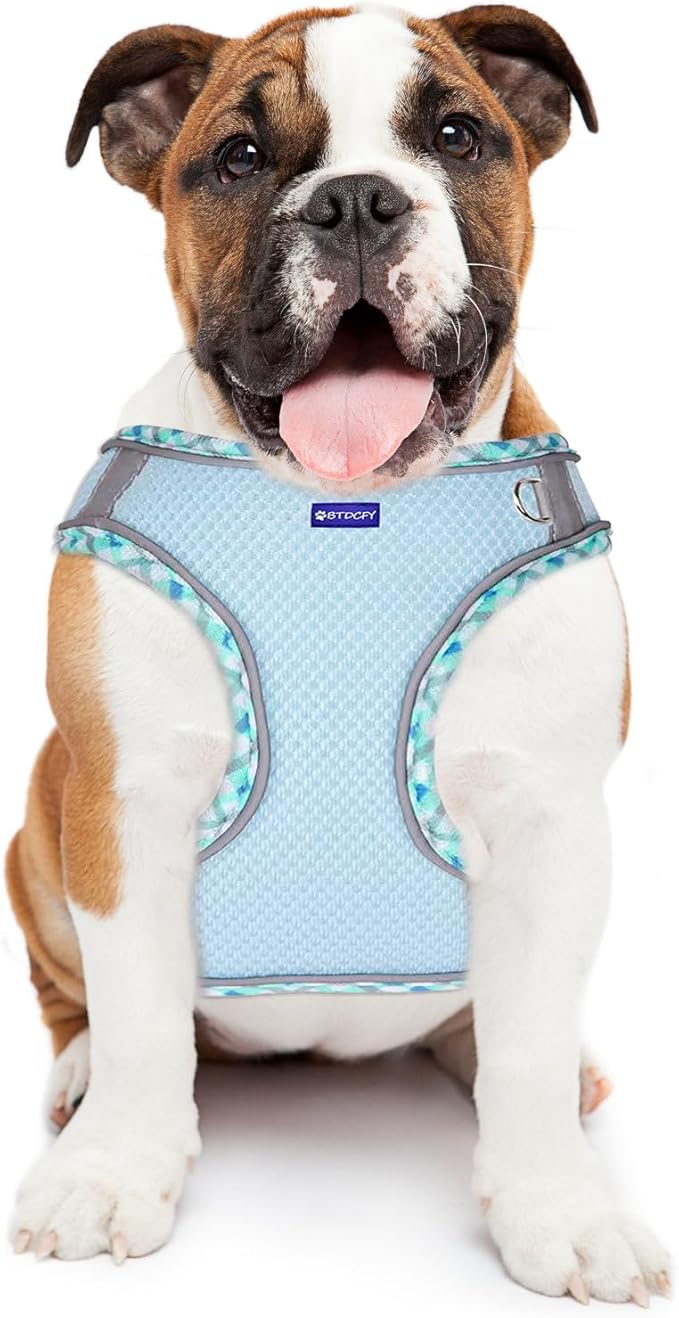 Step-in Dog Harness and Leash Set - Breathable Air Mesh, Reflective, Escape Proof, No Choke, Lightweight Vest