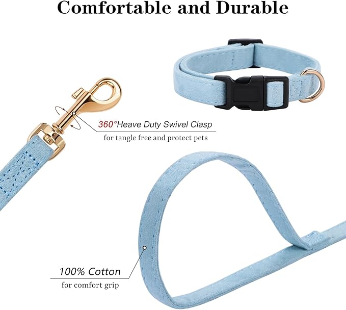 No Pull Dog Harness- Lightweight, Soft, Adjustable Small Harness Collar and Leash Set, Suitable for Cats Puppy Small and Medium-Sized Dog Outdoor Training and Running (Blue, XS)