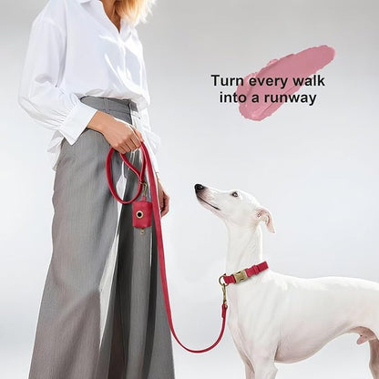 Didog Stylish PU Leather Dog Leash for Large Dogs, Easy to Clean 5ft Dog Leashes for Medium Dogs, Fashionable and Elegant for Walking, Running and Training,Red, M