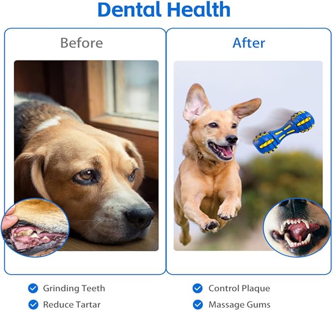 AUSCAT Teething Dog Toys, Durable Squeaky Dog Toys, Rubber Chew Toys for Dogs, Dumbbell Shape, Blue