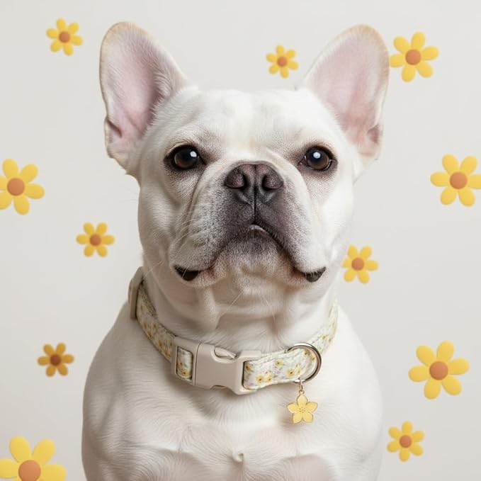 Dog Collar, Unique Floral Dog Collar Girl, Spring Summer Design Pet Collar with Cute Charm, Quick Release Buckle and Durable Fabric, Suitable for Small, Medium and Large Dogs