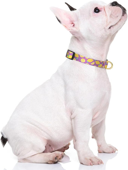 Rnivvi Dog Collar for Small Dogs, Cute Heavy Duty Adjustable Puppy Collar with Quick Release Buckle for Girl & Female, Pet Accessories for Walking Running, S Length 3/4" Width, Lemon
