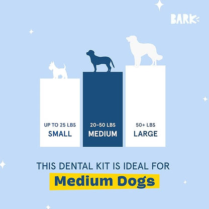 Barkbox Bright Durable Dog Dental Kit for Tough Chewers, 15 Chew Sticks & Toothpaste - Medium Breeds