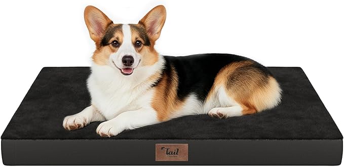 Tail Stories Orthopedic Dog Bed for Large Dogs, Plush Washable Pet Bed for Large Size Dogs with Egg Crate Foam & Removable Oxford Cover, 36x27 Inch, Black