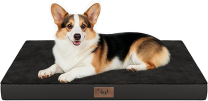 Tail Stories Orthopedic Dog Bed for Large Dogs, Plush Washable Pet Bed for Large Size Dogs with Egg Crate Foam & Removable Oxford Cover, 36x27 Inch, Black