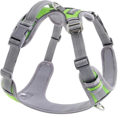 Paawpal Adjustable Dog Harness - No Pull, Reflective, Soft Padded for Small, Medium, Large Dogs - Includes Leash Green L