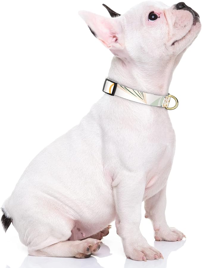 Rnivvi Dog Collar for Small Dogs, Cute Boho Heavy Duty Adjustable Puppy Collar with Quick Release Buckle for Girl & Female, Pet Accessories for Walking Running, S Length 3/4" Width, Tropical Leaves