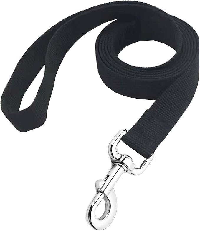 Strong Nylon Dog Leash, 5 FT Long Dog Leashes for Medium Large Dogs (5FT, Black)