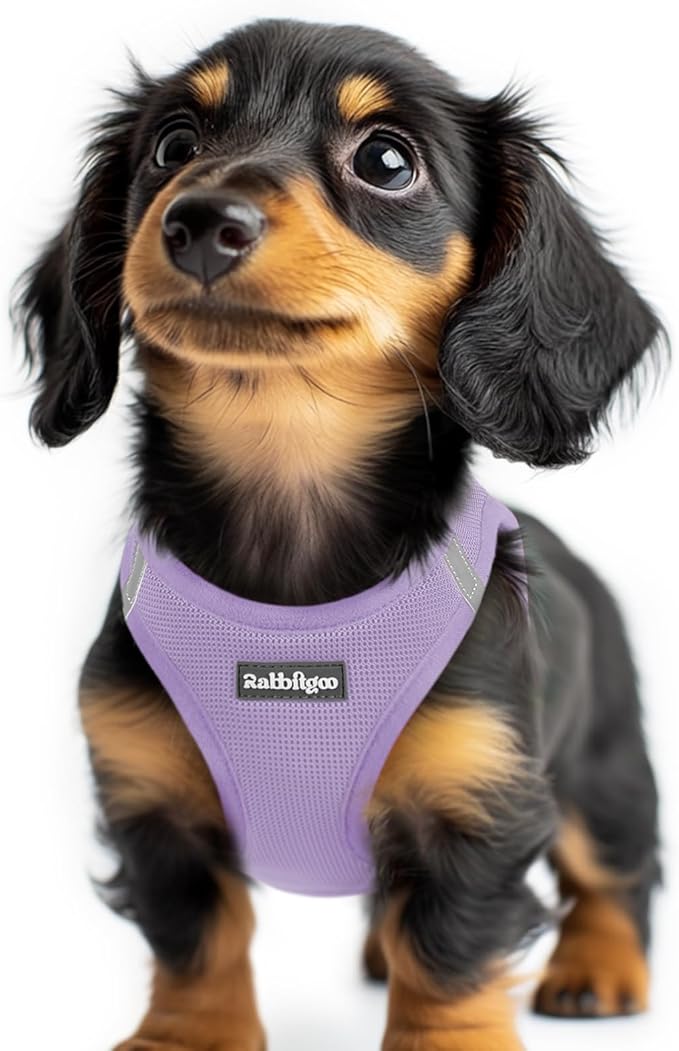 rabbitgoo Small Dog Harness, Step-in Soft Mesh Puppy Vest with Safety Buckle, Breathable Reflective Pet Harness for Extra Small Dogs, Light Purple XXS