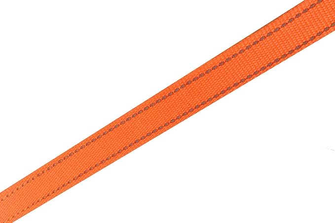 SALO Dog Leash 8 Feet, 12FT, 16FT Long, Walking Training Reflective Dog Leashes for Small Medium Dogs