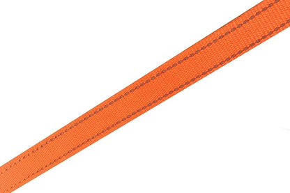 SALO Dog Leash 8 Feet, 12FT, 16FT Long, Walking Training Reflective Dog Leashes for Small Medium Dogs