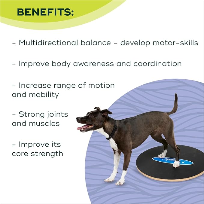 FitPaws Wobble Board - Dog Balance Training Equipment for Core Strength & Stability Canine Fitness & Rehabilitation Tool