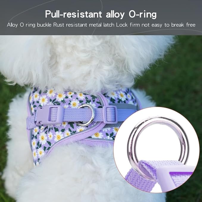 Step in Dog Harness and Leash Set, Flower Adjustable Easy Walk Puppy Harnesses, Soft Mesh No Pull Pet Vest Harness for Small Dogs and Cats(Daisy, XXS)