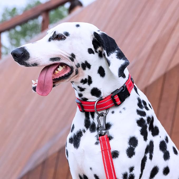 EXCELLENT ELITE SPANKER Reflective Dog Collar Classic Soft Padded Breathable Nylon Adjustable Pet Collar with Quick Release Buckle for Boy Girl Male Female Puppies Small Medium Large Dogs(Red-L)