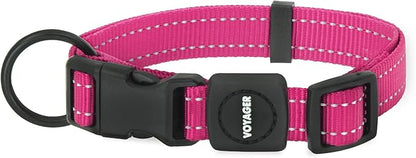 Best Pet Supplies Voyager Reflective Dog Leash or Collar with Neoprene Handle, for Small, Medium, and Large Breed Puppies, Cute and Heavy Duty for Walking, Running and Training - Fuchsia, L