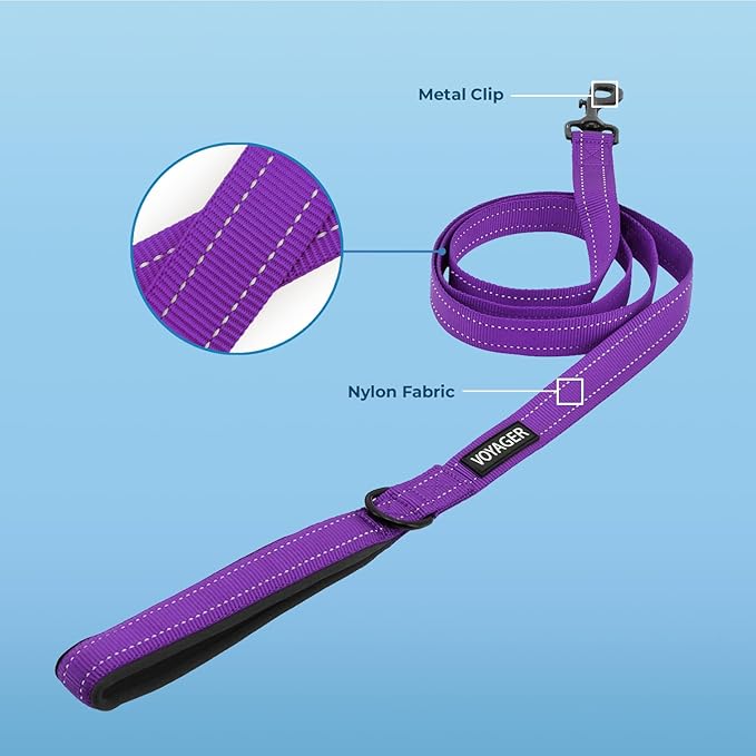 Best Pet Supplies Voyager Reflective Dog Leash or Collar with Neoprene Handle, for Small, Medium, and Large Breed Puppies, Cute and Heavy Duty for Walking, Running and Training - Purple (Leash), M