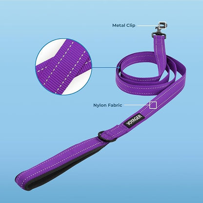 Best Pet Supplies Voyager Reflective Dog Leash or Collar with Neoprene Handle, for Small, Medium, and Large Breed Puppies, Cute and Heavy Duty for Walking, Running and Training - Purple (Leash), M