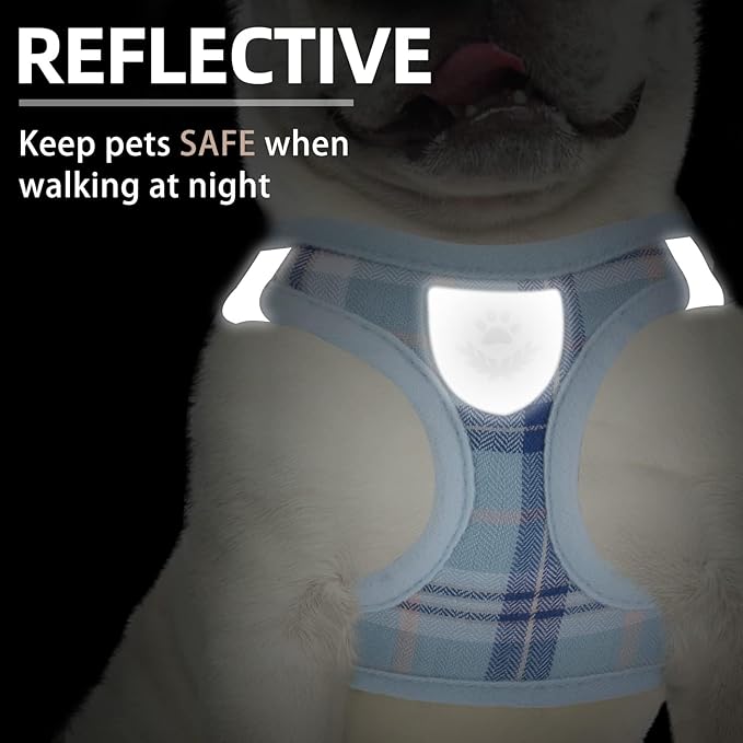 PUPTECK Adjustable Dog Harness Collar and Leash Set Step in No Pull Pet Harness for Small Medium Dogs Puppy and Cats Outdoor Walking Running, Soft Mesh Padded Reflective Vest Harnesses, Blue XXS