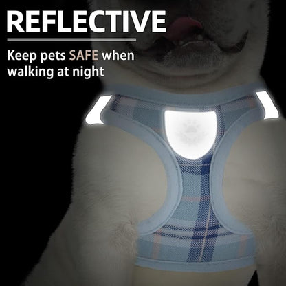 PUPTECK Adjustable Dog Harness Collar and Leash Set Step in No Pull Pet Harness for Small Medium Dogs Puppy and Cats Outdoor Walking Running, Soft Mesh Padded Reflective Vest Harnesses, Blue XXS