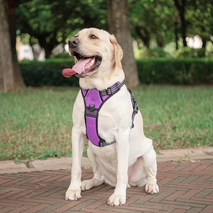 PoyPet No Pull Dog Harness, [Release on Neck] Reflective Adjustable No Choke Pet Vest with Front & Back 2 Leash Attachments, Soft Control Training Handle for Small Medium Large Dogs(Purple,XL)
