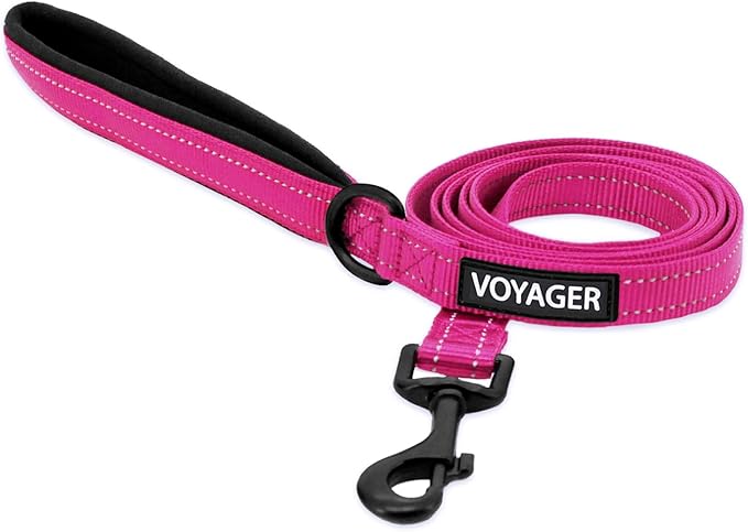 Best Pet Supplies Voyager Reflective Dog Leash or Collar with Neoprene Handle, for Small, Medium, and Large Breed Puppies, Cute and Heavy Duty for Walking, Running and Training - Fuchsia Leash, L