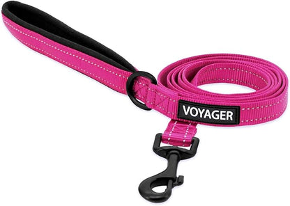 Best Pet Supplies Voyager Reflective Dog Leash or Collar with Neoprene Handle, for Small, Medium, and Large Breed Puppies, Cute and Heavy Duty for Walking, Running and Training - Fuchsia Leash, L